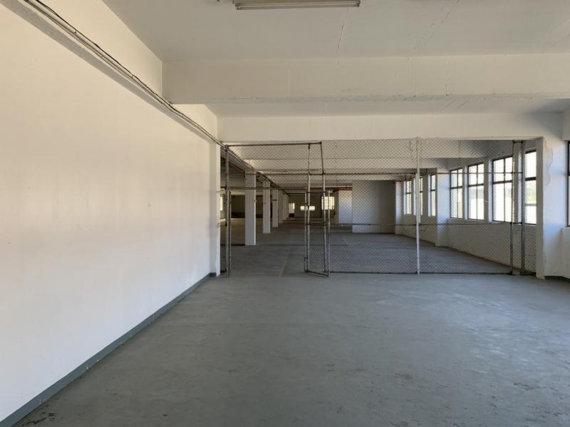 To Let commercial Property for Rent in Paarden Eiland Western Cape